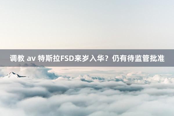 调教 av 特斯拉FSD来岁入华？仍有待监管批准