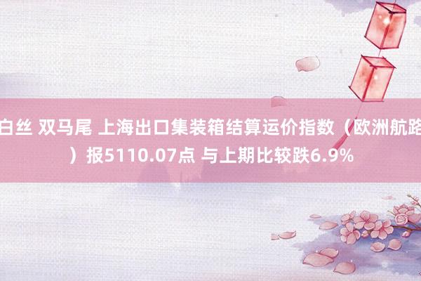 白丝 双马尾 上海出口集装箱结算运价指数（欧洲航路）报5110.07点 与上期比较跌6.9%