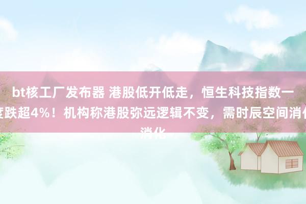 bt核工厂发布器 港股低开低走，恒生科技指数一度跌超4%！机构称港股弥远逻辑不变，需时辰空间消化