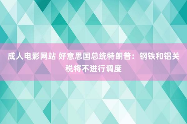 成人电影网站 好意思国总统特朗普：钢铁和铝关税将不进行调度