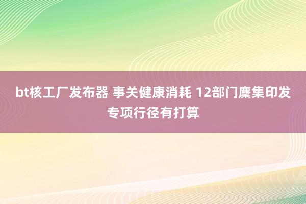 bt核工厂发布器 事关健康消耗 12部门麇集印发专项行径有打算
