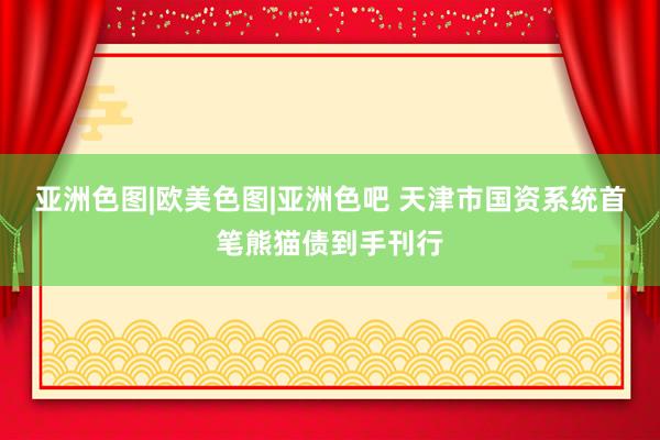 亚洲色图|欧美色图|亚洲色吧 天津市国资系统首笔熊猫债到手刊行